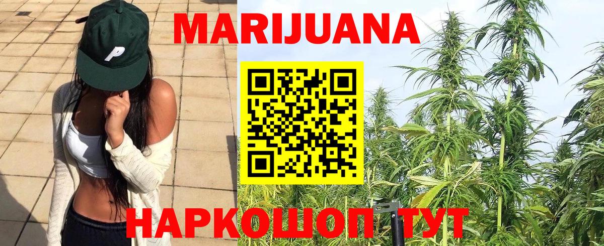 Каннабис сатива Новоалтайск