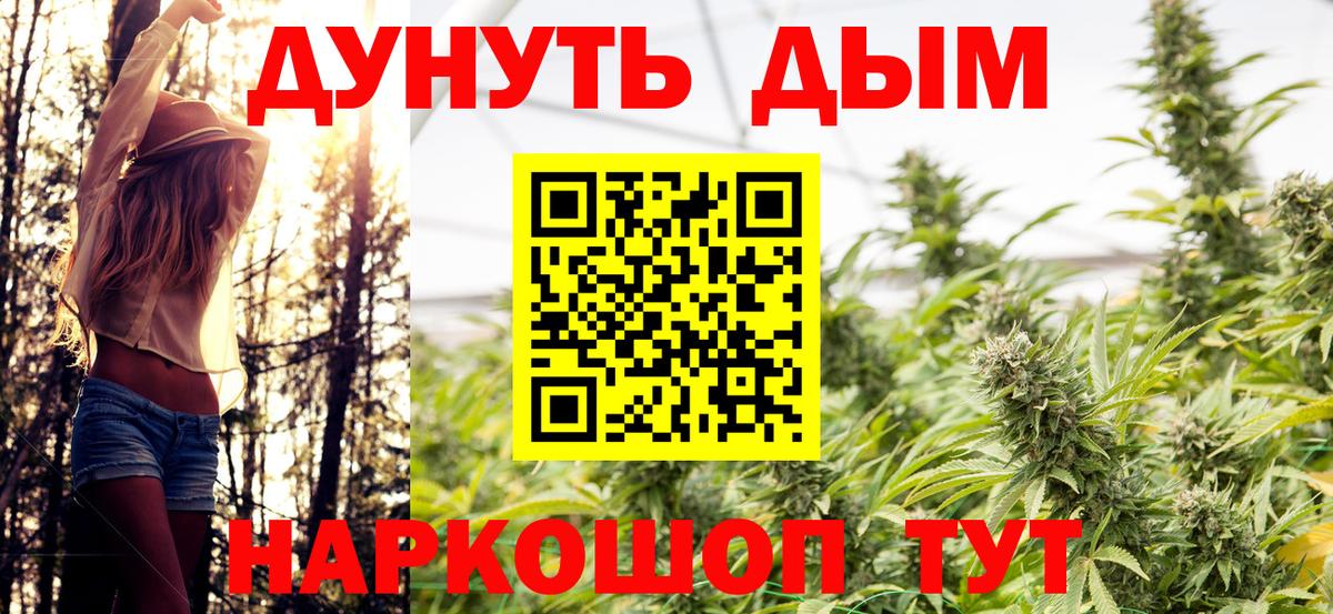 Шишки марихуана ГИДРОПОН  Бошки Шишки семена  Вход с VPN  Новоалтайск  Конопля Amnesia 